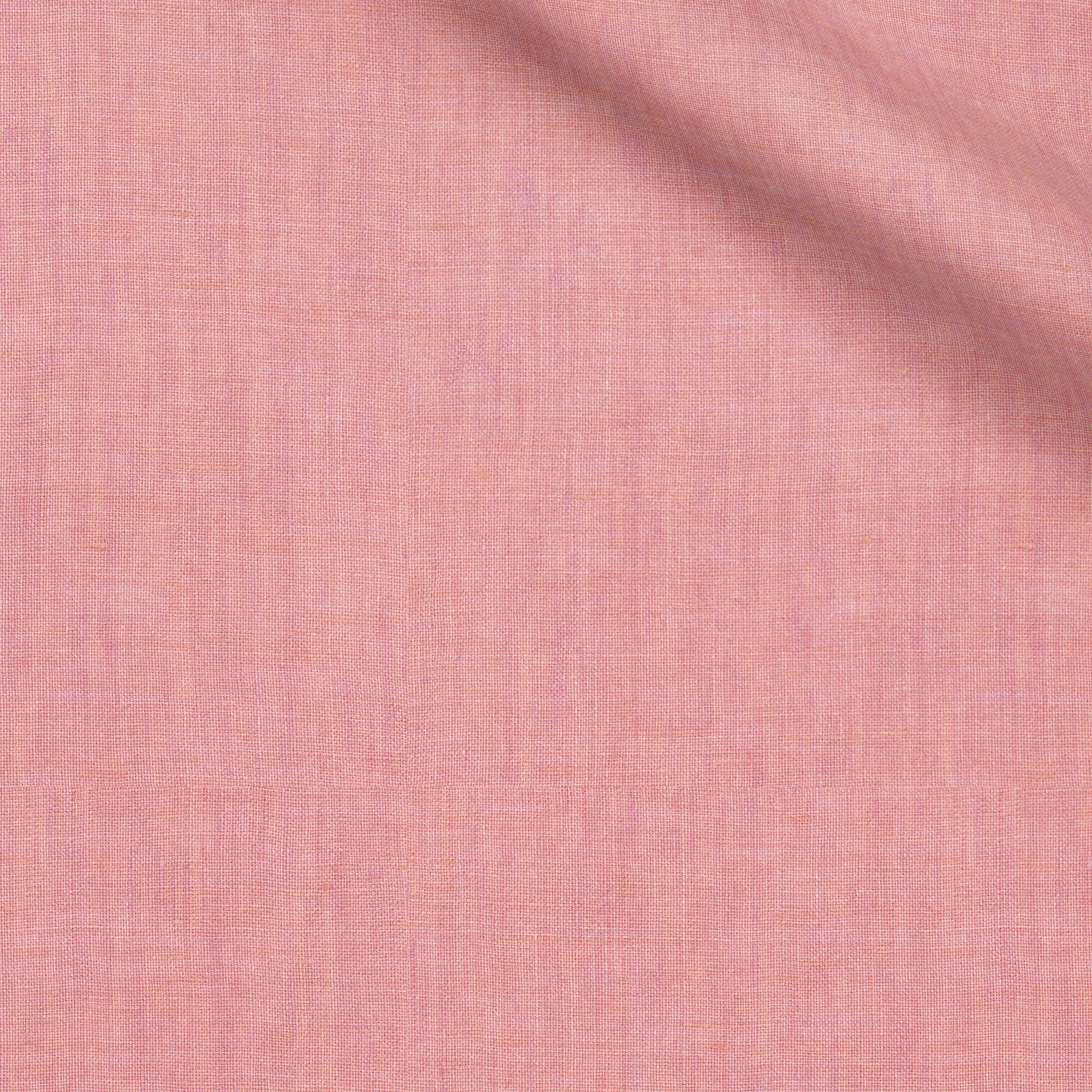 Busmere fabric swatch — Blush Pink Solid, Piero Tallini
