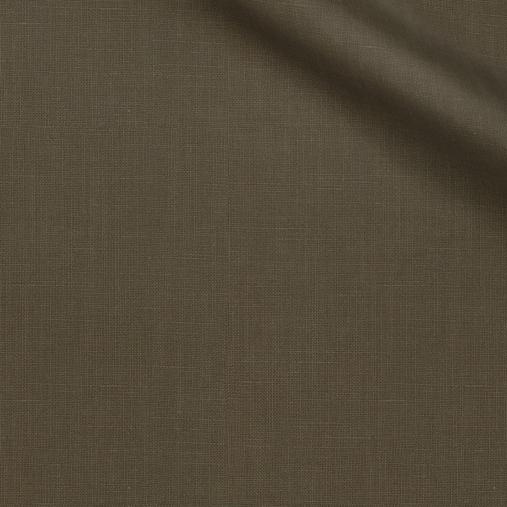 Cana fabric swatch — Green Solid, Piero Tallini