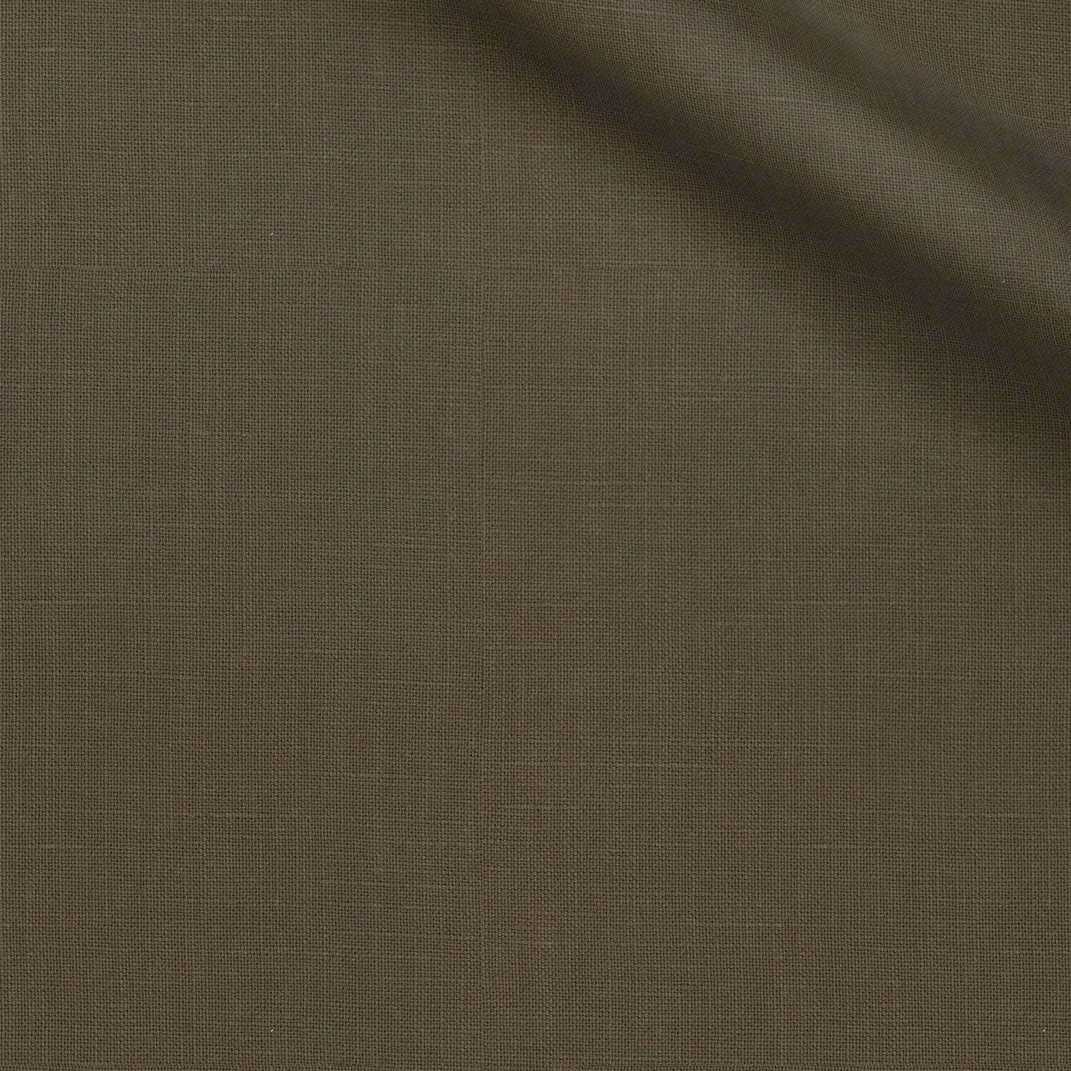 Cana fabric swatch — Green Solid, Piero Tallini