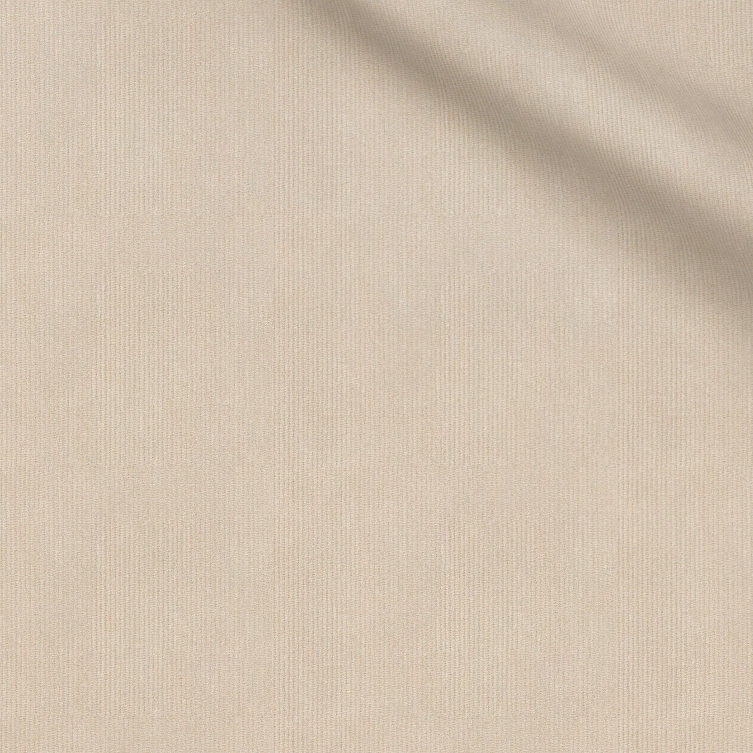 Donaldson fabric swatch — Beige micro corduroy, 310 gsm, Draperì Corsini