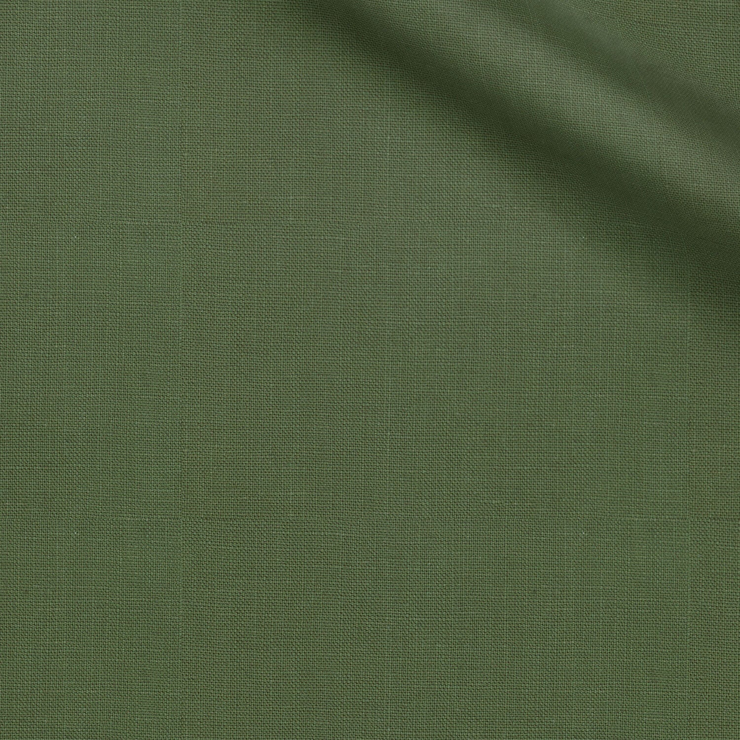 Guayanes fabric swatch — Forest Green Solid, Piero Tallini