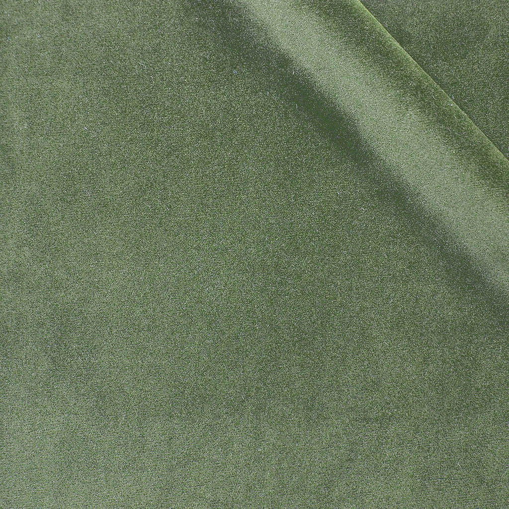 Noel fabric swatch — Sage Green Solid, Piero Tallini