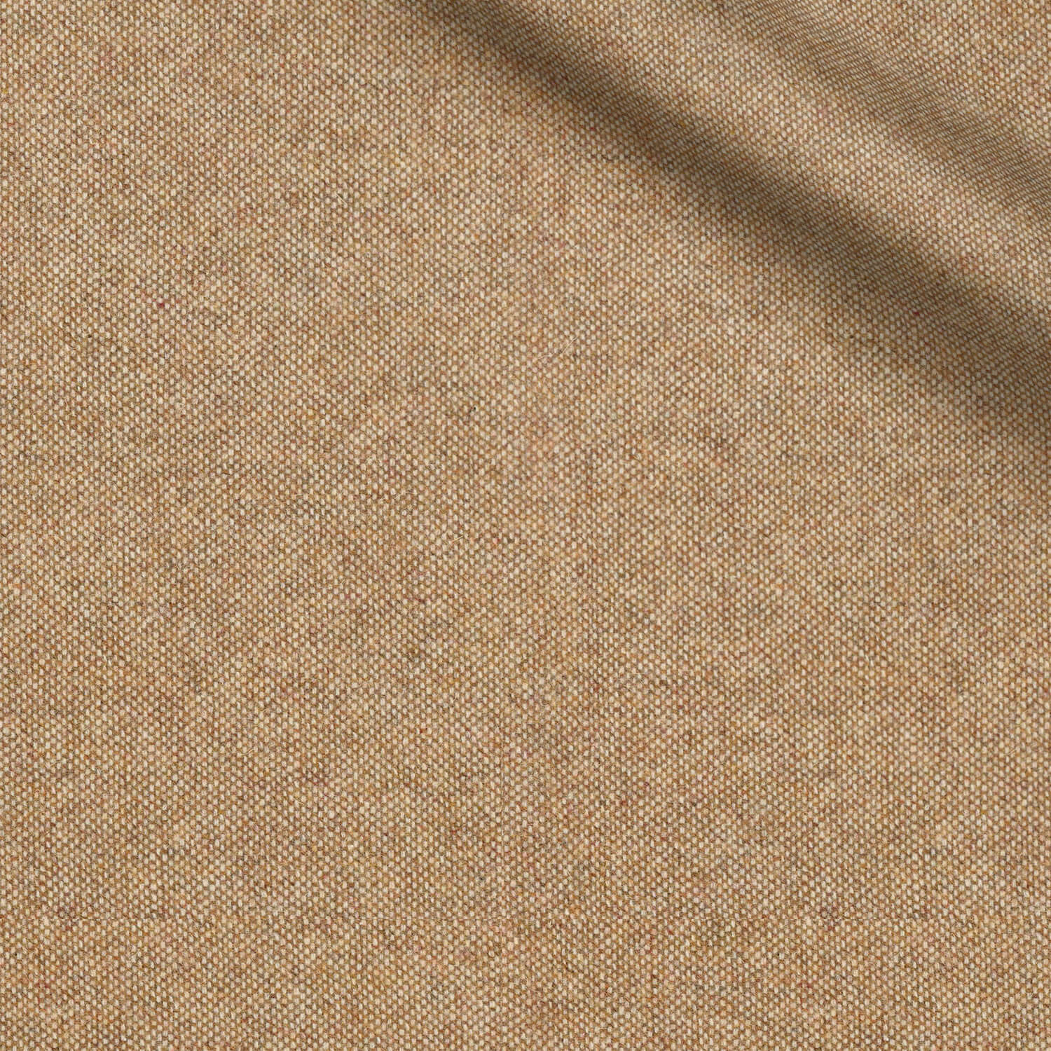 Shelby fabric swatch — Camel donegal, 450 gsm, Draperì Corsini