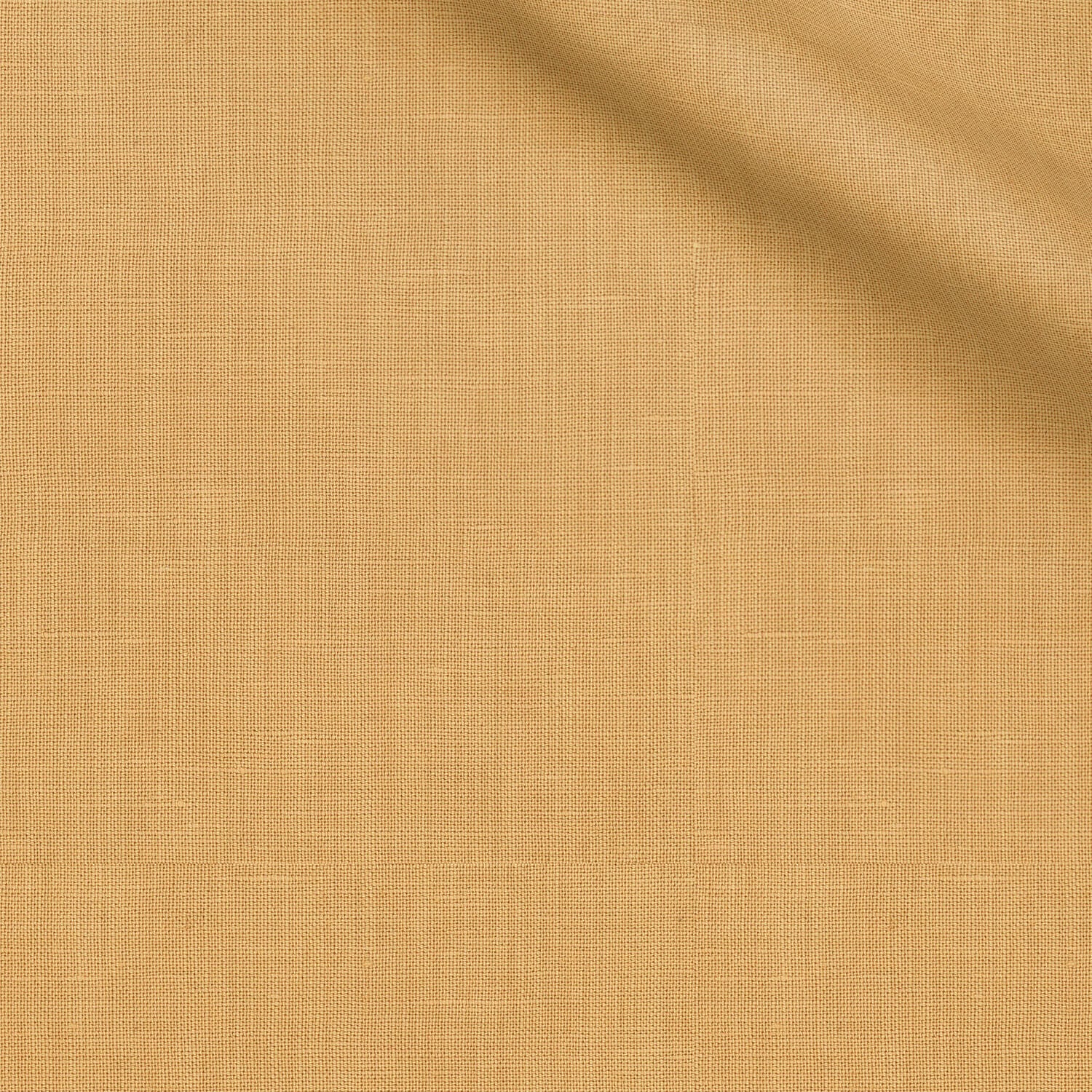 Terrenas fabric swatch — Misted Yellow Solid, Piero Tallini